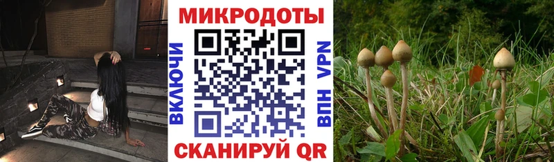 Псилоцибиновые грибы Cubensis где купить наркоту Соликамск